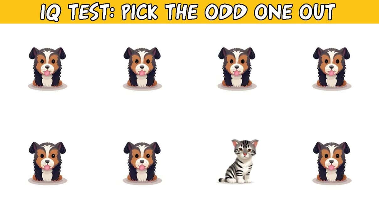 10 Odd One Out Quizzes For The Cerebral QuizStory