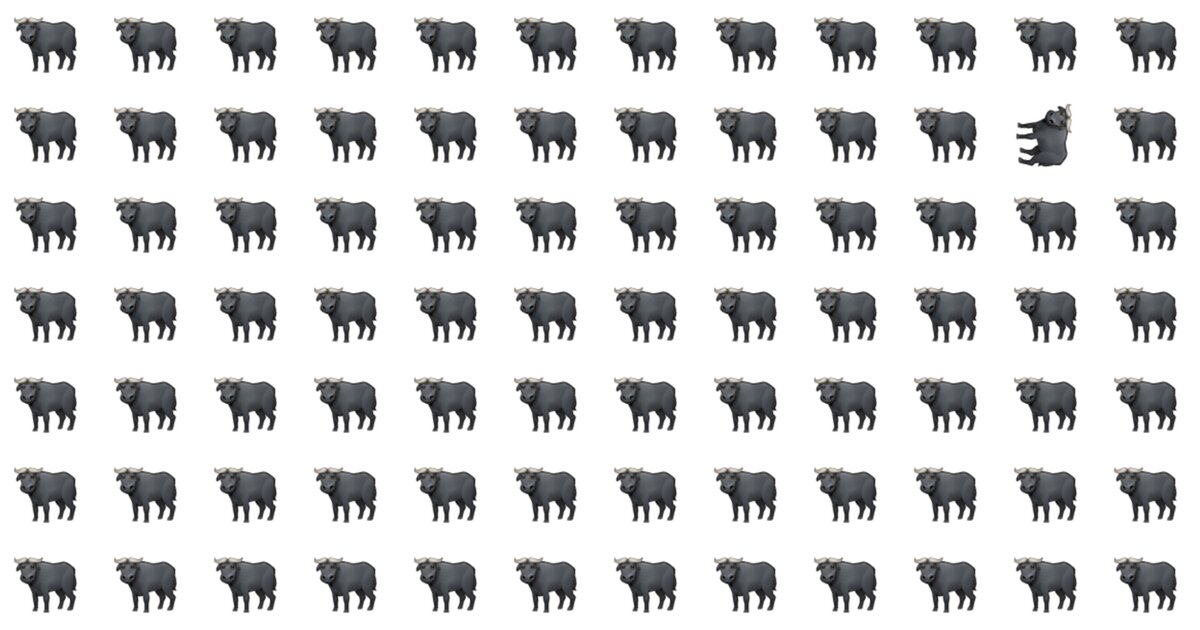 Odd One Out Fellow Puzzle – Can You Solve It?