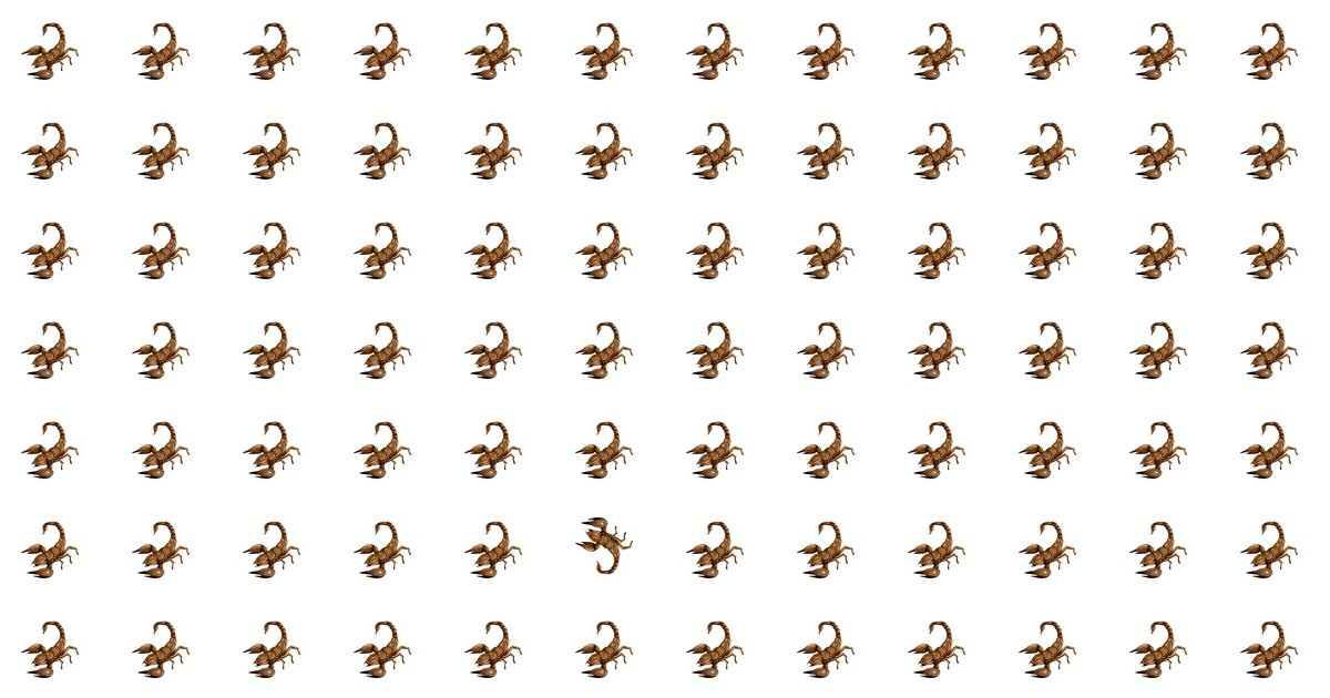 Challenge Your Vision: Odd One Out