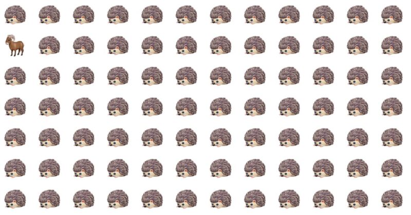 This Odd One Out Quiz Will Determine Your Visual Perception In About One Minute