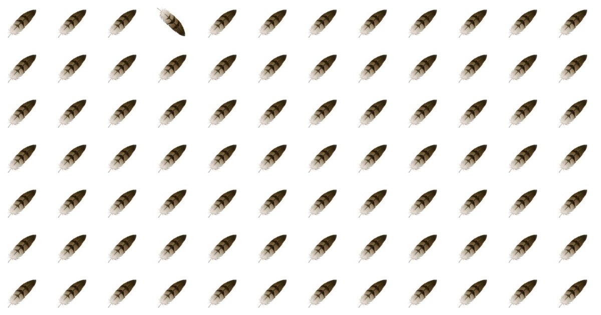 Spot The Odd Fellow Quiz – Only Experts Can Ace This!