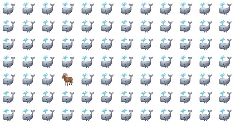 Almost No One Can Ace This Odd One Out Visual Challenge. Are You Up To The Challenge?