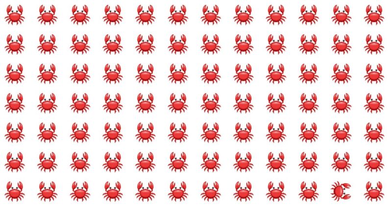 Odd One Out Quiz – Can You Beat The High Score?