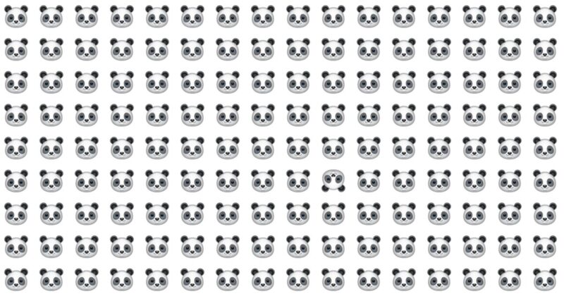Picture Quiz For Eagle Eyed Graduates Only