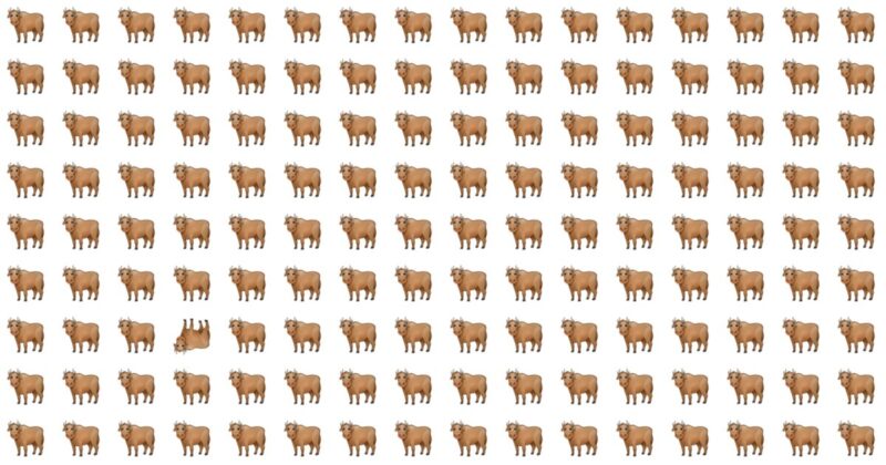 10 Odd One Out Puzzles: A Visual Journey
