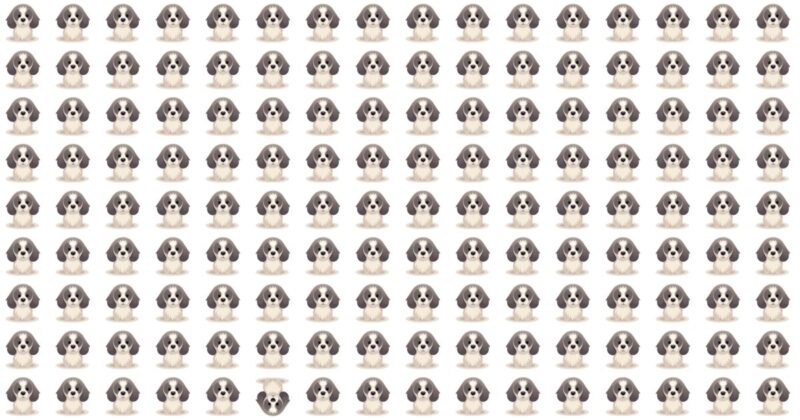 Only 1 In 40 People Can Ace This Odd One Out Test. How About You?