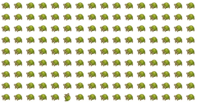 How Quickly Can You Complete This Odd One Out Visual Quiz? Not Many Can Do It In Under 60 Seconds