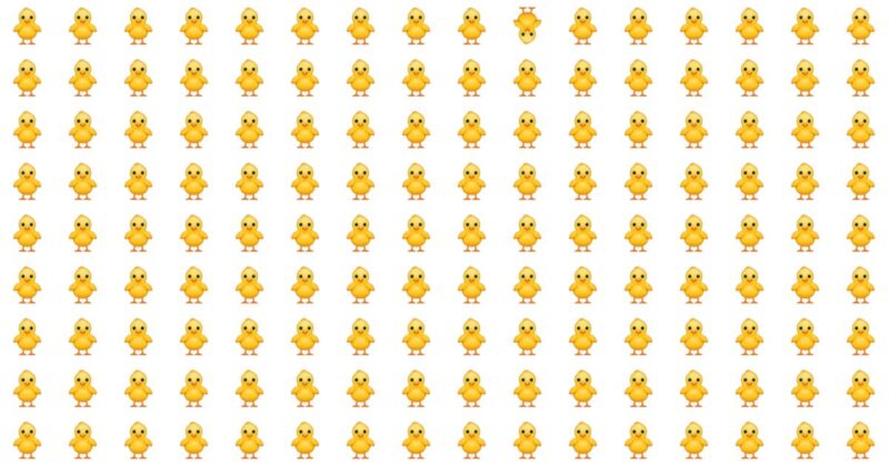 This Odd One Out Quiz Will Determine The Sharpness Of Your Eyesight In One Minute