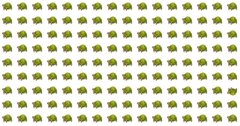 Only Very Few People Can Beat This Difficult Odd One Out Quiz. How About You?