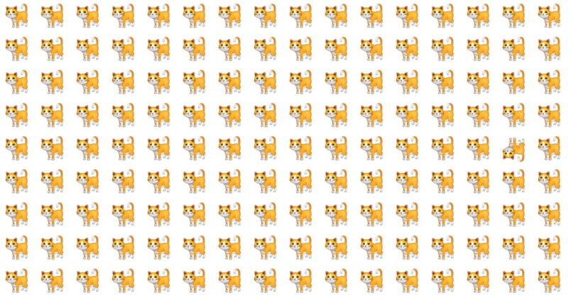 Mind Workout: Odd One Out