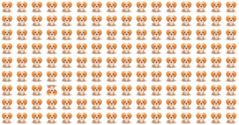 Almost No One Can Ace This Odd One Out Challenge. Can You?