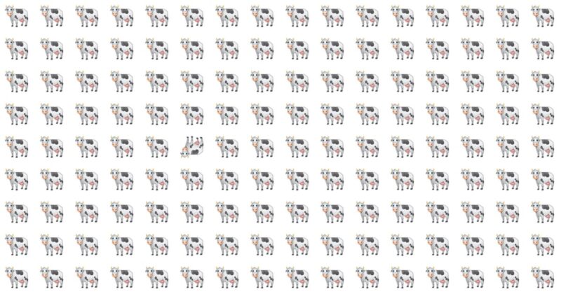 Only People With An Unusually High IQ Will Be Able To Ace This Odd One Out Test! How About You?