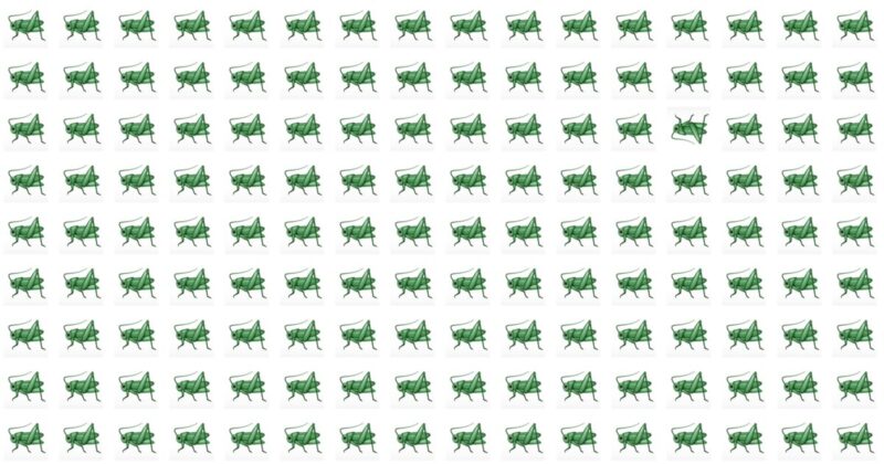 Are You Quick Enough To Solve This Odd One Out Puzzle?