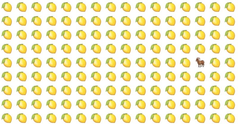 Only 1 In 30 People Can Ace This Tough Odd One Out Test. How About You?