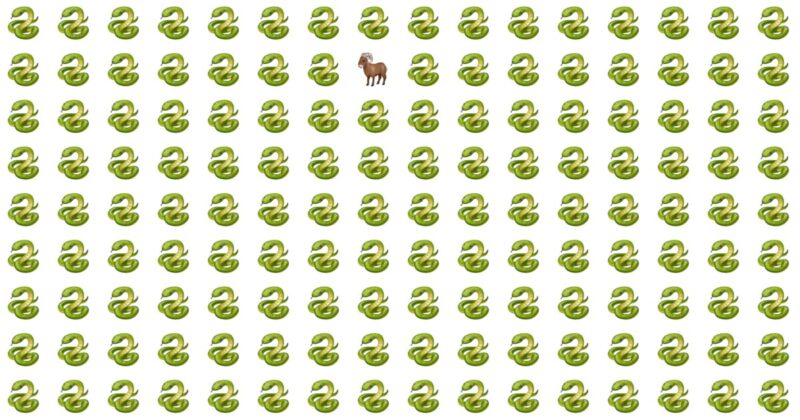 Odd Fellow Quiz – 10 Levels To Beat