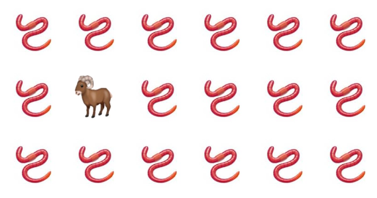 How Fast Can You Find the Odd One In This Quiz?