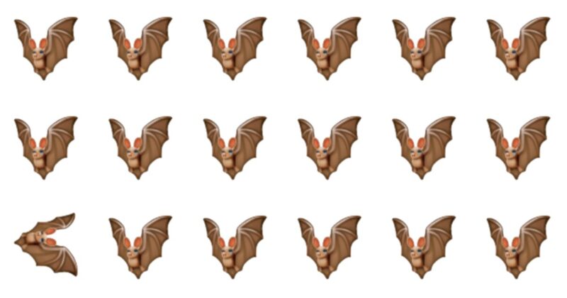 Tricky Picture Quiz For Our Fans – 10 Levels