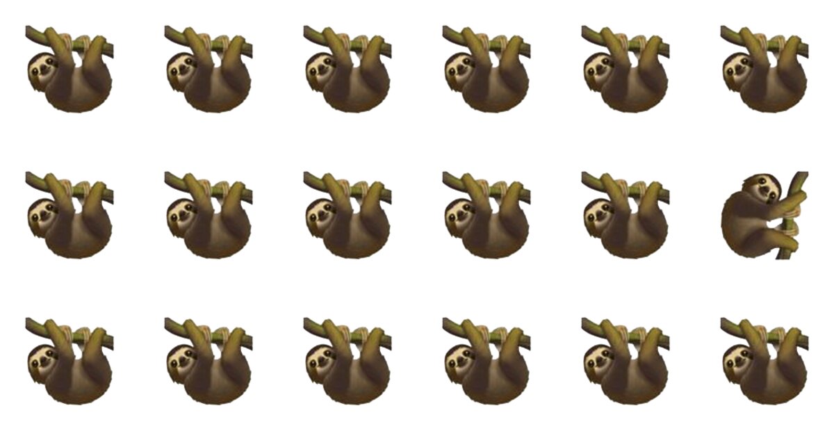 Spot The Odd Fellow Quiz – A Test For The Best!