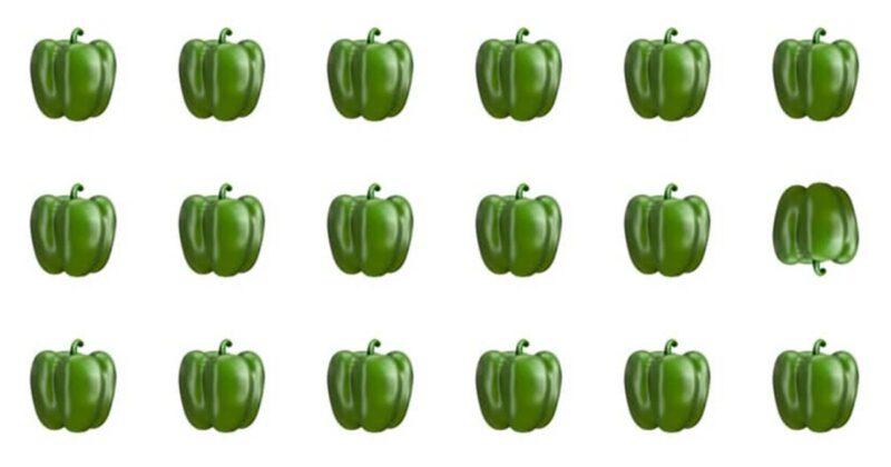 No One Can Score A Perfect 10 On This Tough Odd One Out Test Without Cheating. Prove Us Wrong!