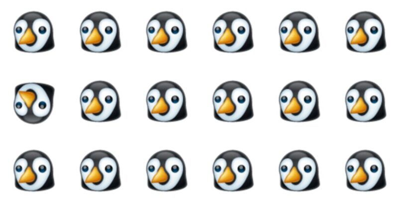 Odd One Out Fellow Quiz – For Our Top Fans