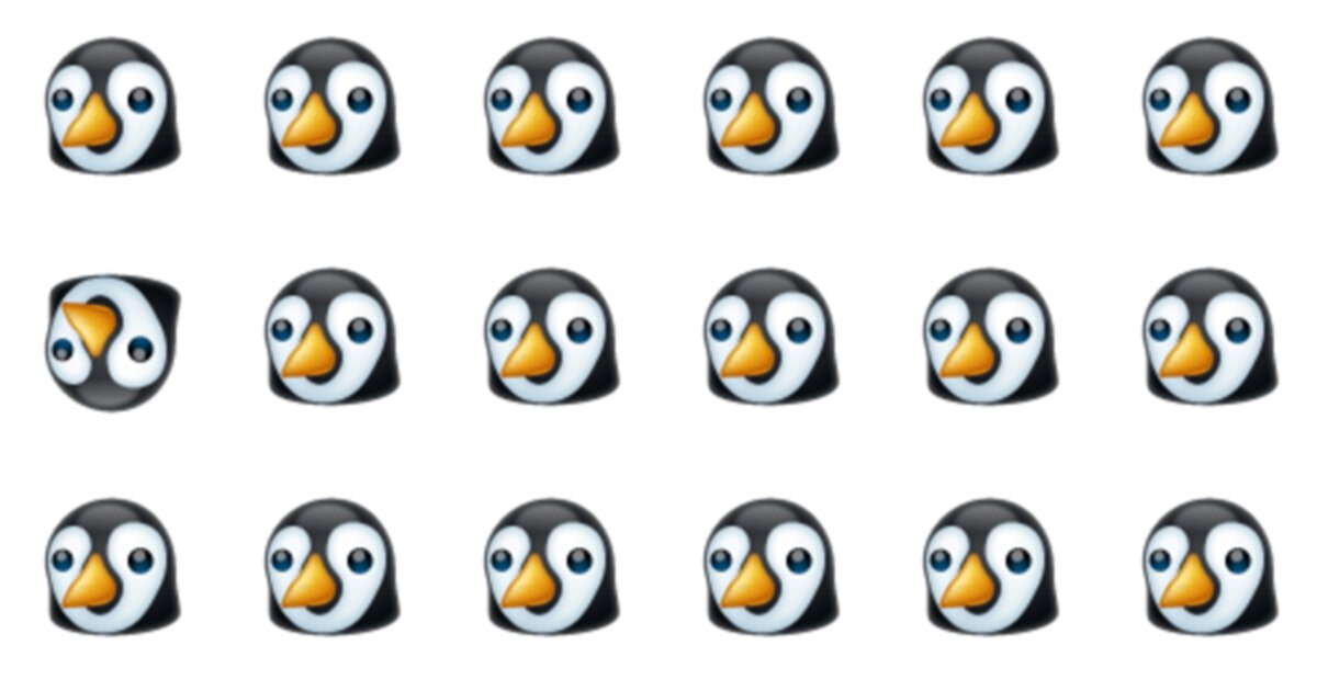 Odd One Out Fellow Quiz – For Our Top Fans