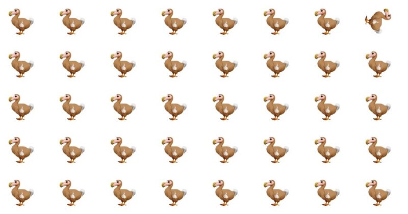 Tricky Find: Odd One Out