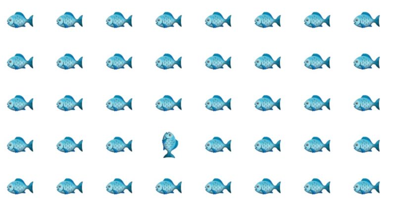 Only 1 In 30 Sharp-Eyed People Can Ace This Odd One Out Quiz. How About You?