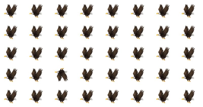 Only Select Few People Can Achieve 100% In This Challenging Odd One Out Visual Test. How About You?